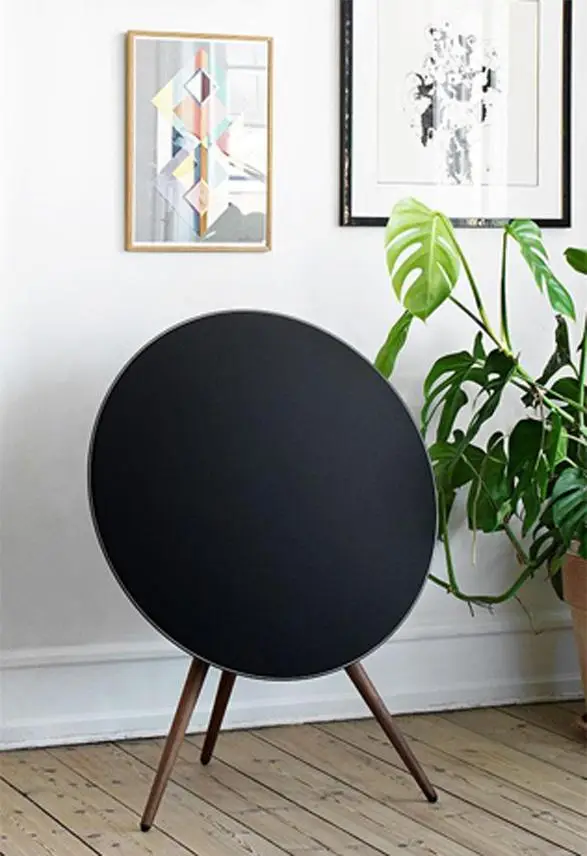 Beautifully designed home speaker