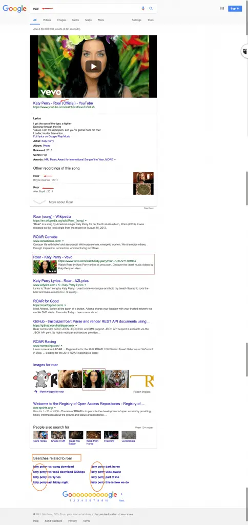 roar Google Search